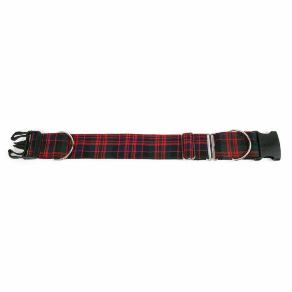 A Homespun 1-Inch Tartan dog collar with metal buckles.