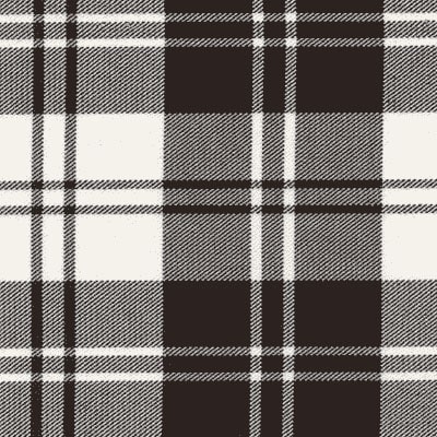 This Stewart Dress Modern PV Tartan, featuring a black and white plaid pattern with intersecting lines forming squares, creates a classic tartan design reminiscent of the iconic MacLeod Hunting Modern Tartan.