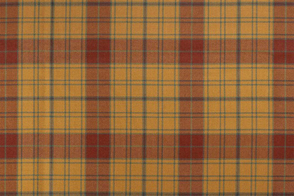 A Glen Affric Tartan pattern featuring intersecting lines in red, yellow, and green.