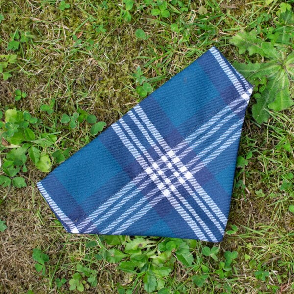 A Tartan Dog Bandana made of 11oz light-weight premium wool, in a blue and white tartan pattern, is folded on the grass with scattered green leaves.