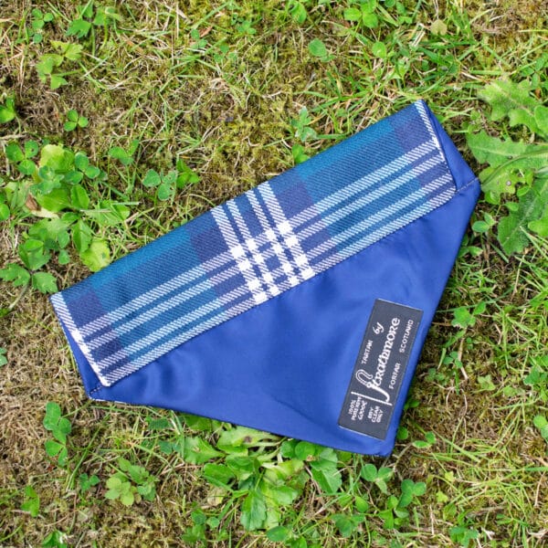 The Tartan Dog Bandana, crafted from 11oz lightweight premium wool in a blue plaid pattern, lies elegantly on the grass with its label shimmering in the sunlight.