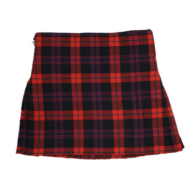 A red and blue plaid skirt on a white background.