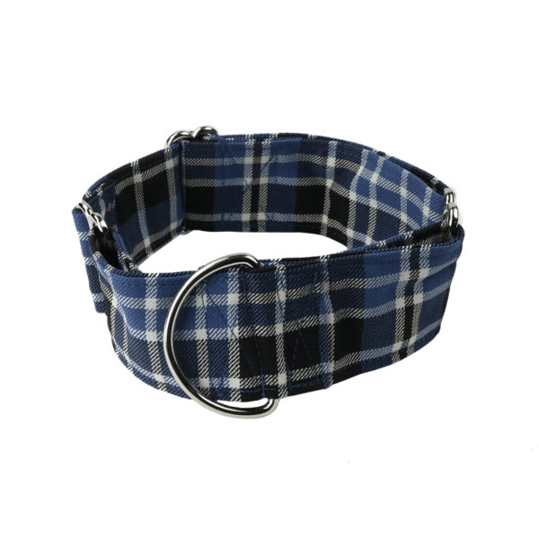 A Clark Ancient Poly-Viscose 2-Inch Tartan Dog Collar and Leash Set with a metal buckle.