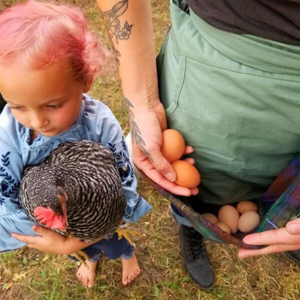 A little girl wearing a Tartan Gathering Apron - Homespun Wool-Blend, holding a chicken and eggs.
