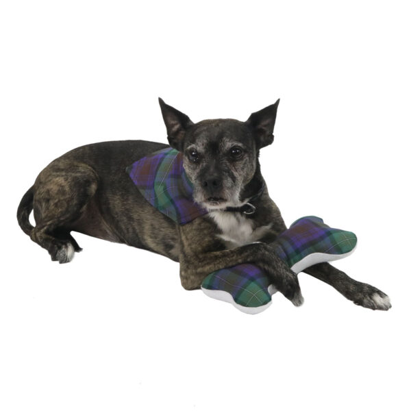 A dog lounging on a plaid blanket, adorned with a Tartan Bandana Dog Collar - Wool Free.