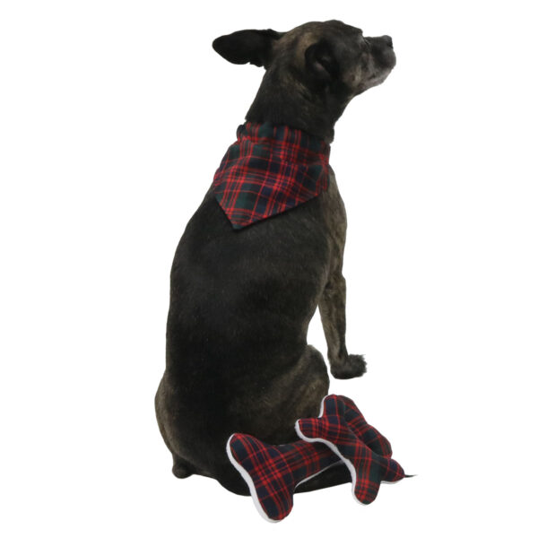 A dog adorned with a stylish Tartan Bandana Dog Collar - Wool Free.