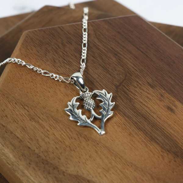 A Scottish Thistle Necklace with a silver pendant on a chain.