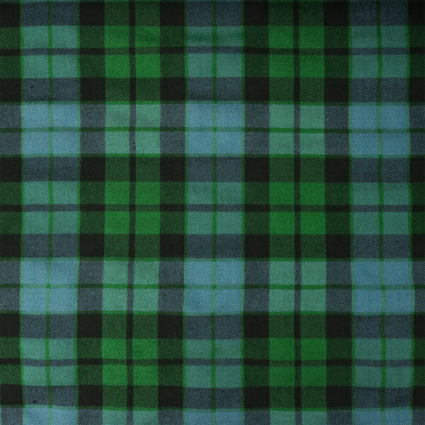 A green and black plaid fabric.