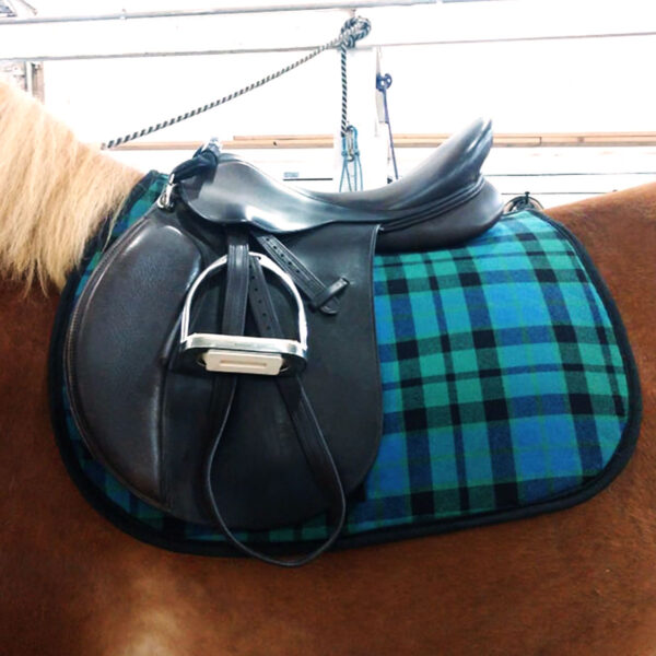 A brown horse with an English Style Saddle Pad - Heavy Weight Premium Scottish Wool-NLA.