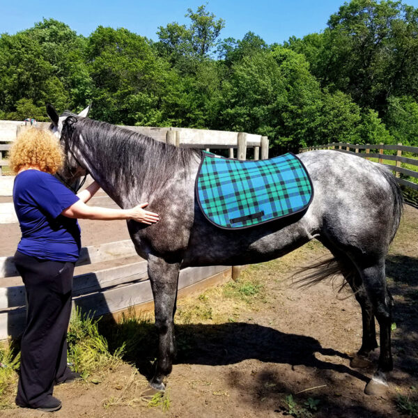A woman gently caressing a horse while it wears an English Style Saddle Pad - Heavy Weight Premium Scottish Wool-NLA.