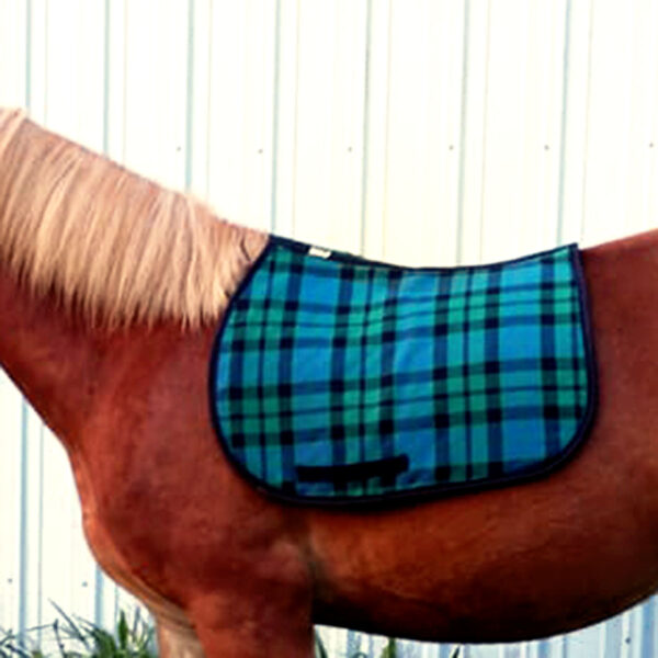 A horse with an English Style Saddle Pad - Heavy Weight Premium Scottish Wool-NLA, featuring a blue and green plaid design.