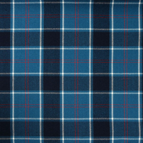 A blue and red plaid fabric.