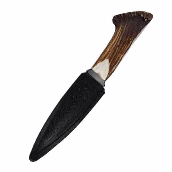 A Stag Crown Horn Sgian Dubh - Stainless Steel Blade on a white background.