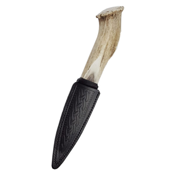 A Stag Crown Horn Sgian Dubh - Damascus Blade with a deer antler handle on a white background.