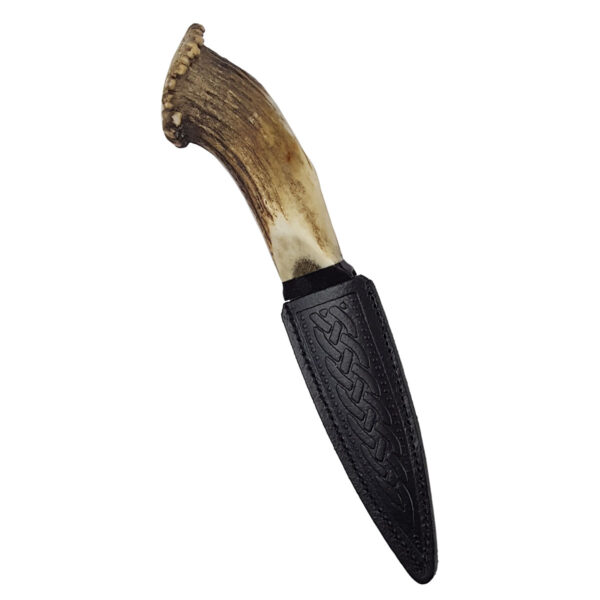 A Stag Crown Horn Sgian Dubh - Damascus Blade with a stag horn handle on a white background.