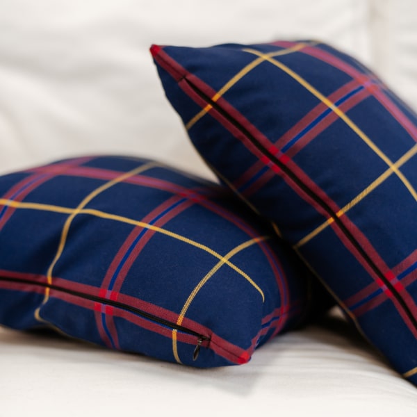 Two blue and yellow plaid pillows on a white couch.