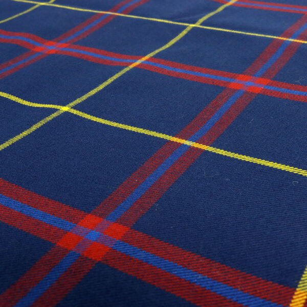 A close up of a blue and red plaid fabric.