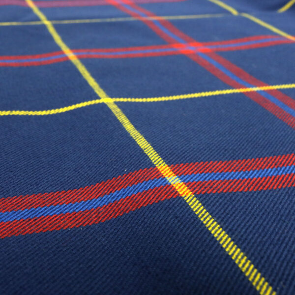 A close up of a blue and red plaid fabric.